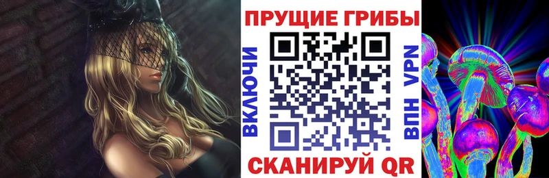 это наркотические препараты  Высоцк  Галлюциногенные грибы Cubensis  магазин  наркотиков 