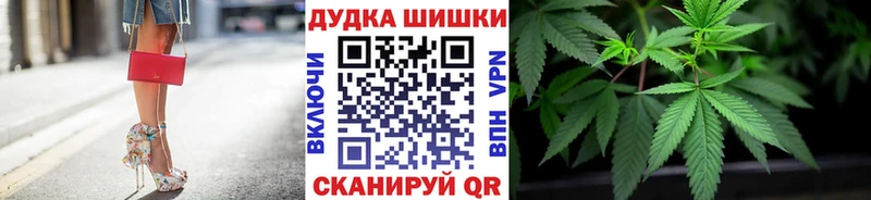 Канабис план  Высоцк 